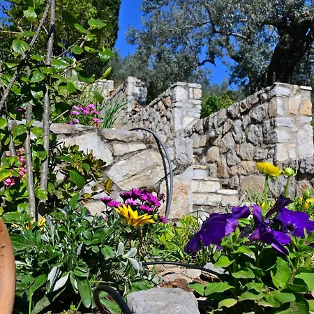 Apartment The Olive Tree Epidaurus