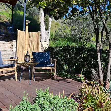The Olive Tree Appartement