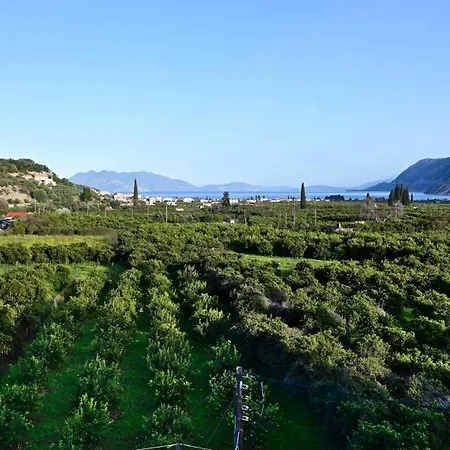 The Olive Tree Apartment Epidaurus