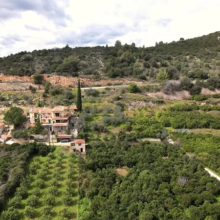 The Olive Tree Apartment