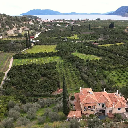 Apartment The Olive Tree