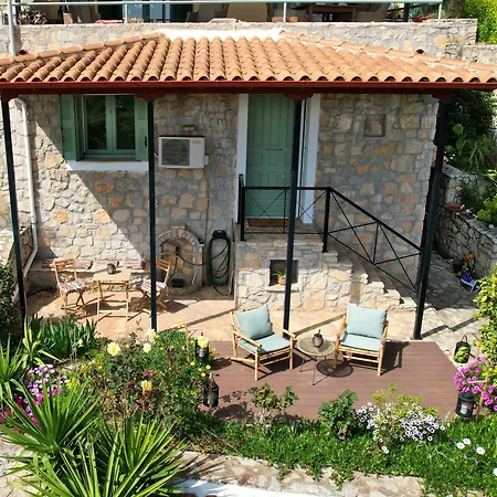 The Olive Tree Apartment